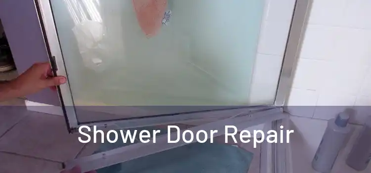 Shower Door Repair